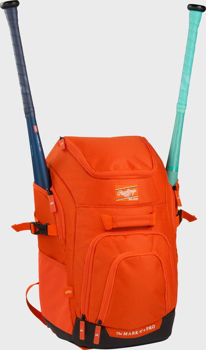Franchise 2 Player's Baseball Backpack