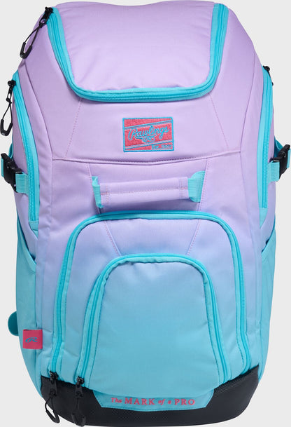 Franchise 2 Player's Baseball Backpack