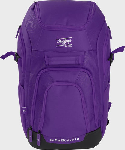 Franchise 2 Player's Baseball Backpack