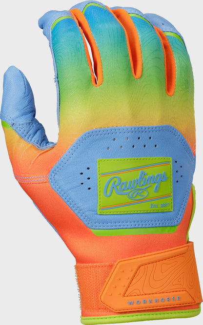 Rawlings Workhorse Youth Fun Burst Batting Gloves
